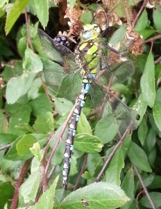 20140827_143859