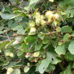 20140827_155224