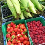 Not a bad morning's work.