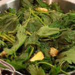 Nettle Beer
